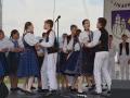 1-likavka (192)