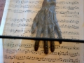markušovce (12)