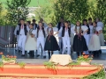 sfs (16)-001