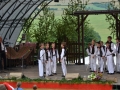 SFS (42)