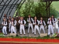 SFS (51)