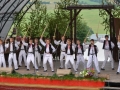SFS (54)