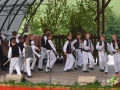 SFS (55)